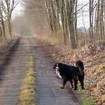 Kroete Nr 5 Waddeweitz