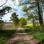 Kroete Nr 5
