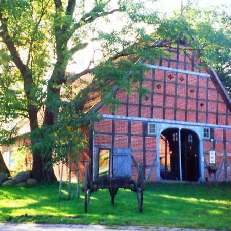 Kröte Nr 5 Waddeweitz