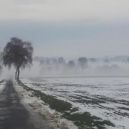 Kröte Nr 5 Apartman Waddeweitz
