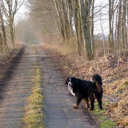 Kroete Nr 5 바덴바이