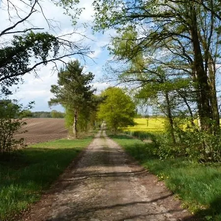 Kröte Nr 5