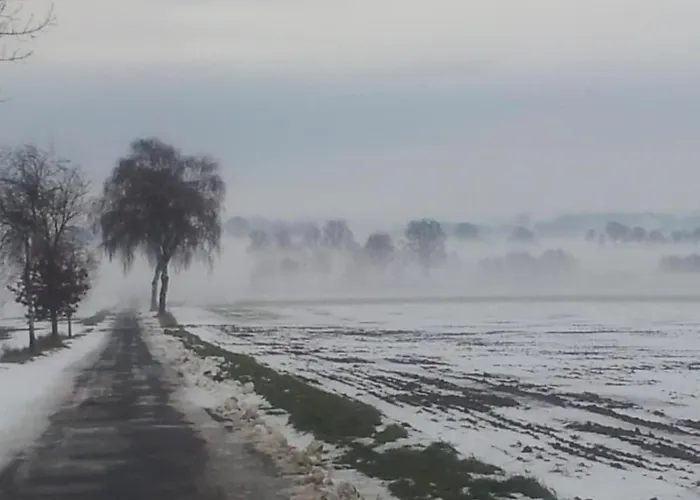 Kroete Nr 5 Appartement Waddeweitz