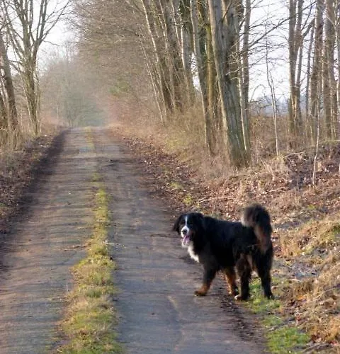 Kroete Nr 5 Waddeweitz